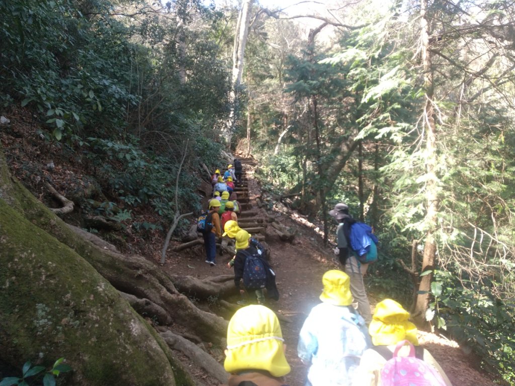 高尾山を登っていく子どもたち