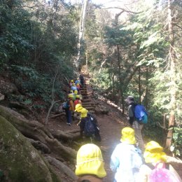 高尾山を登っていく子どもたち