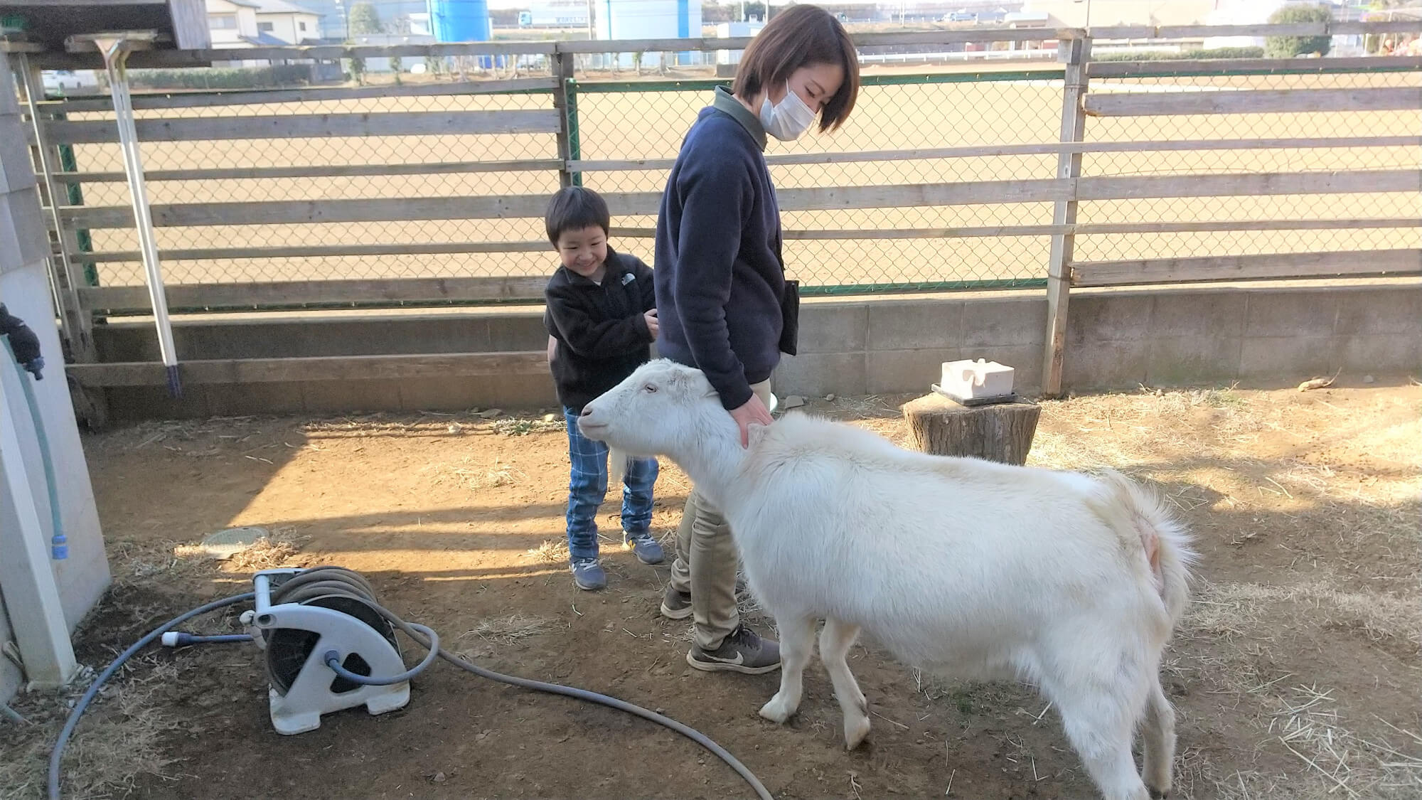 ヤギに近づく子ども