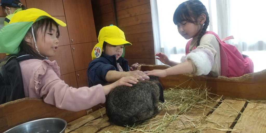 うさぎを触る子どもたち