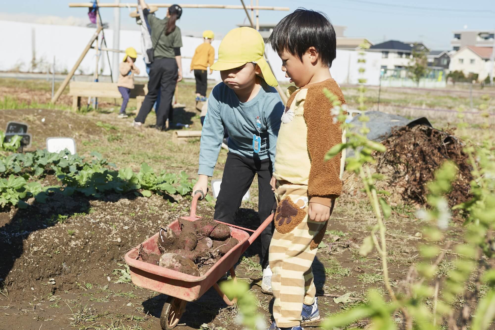 畑仕事を日課とする子どもたち