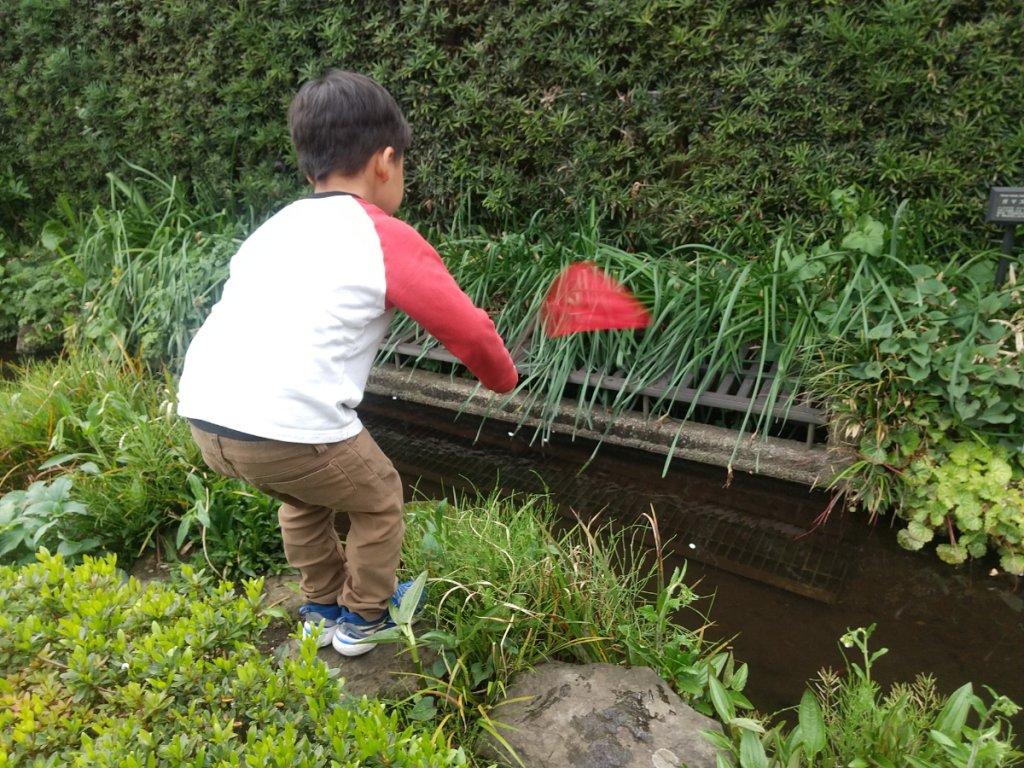 小川で生き物を捕まえる子ども