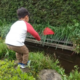 小川で生き物を捕まえる子ども