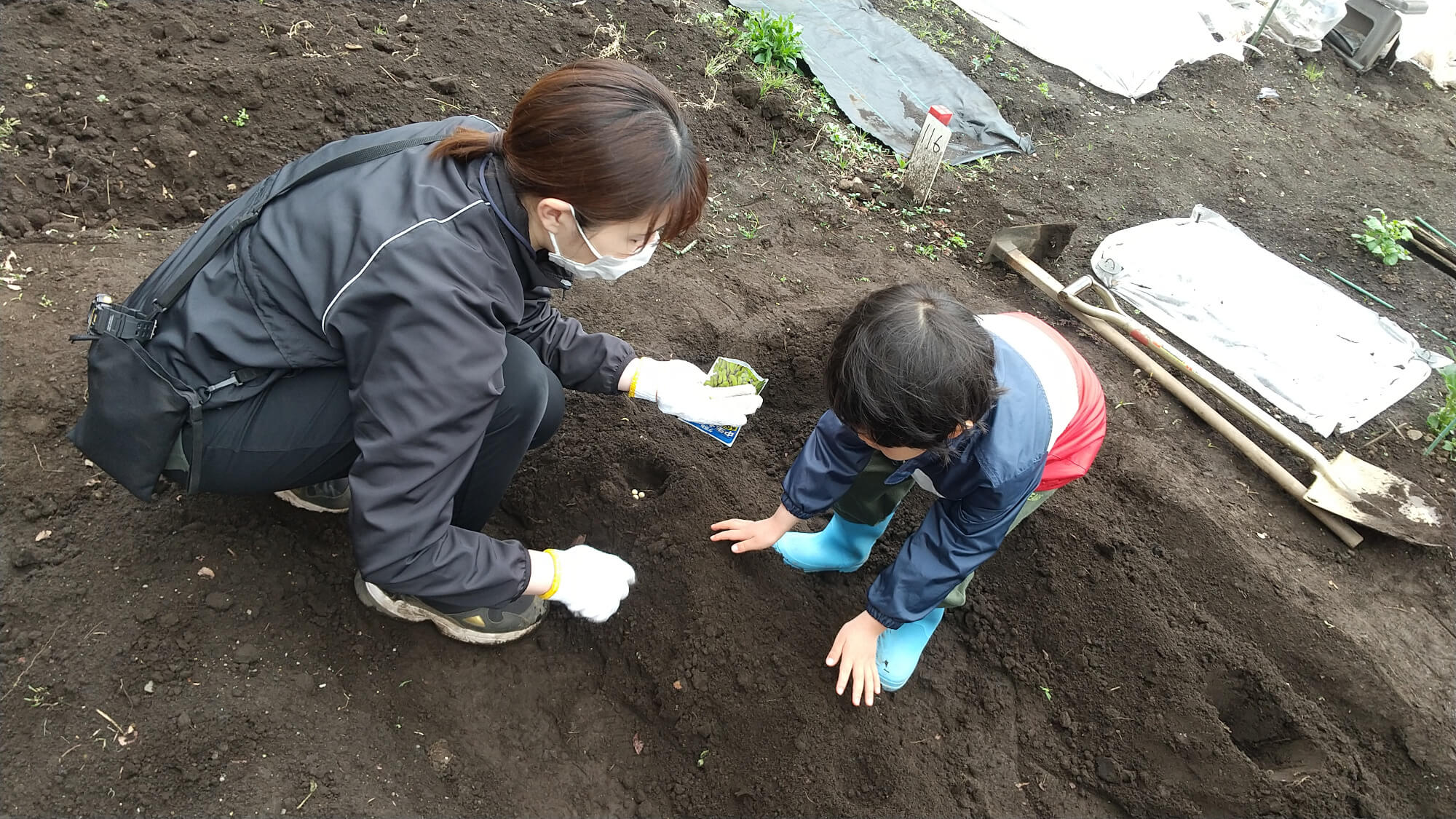 枝豆の種を植える子ども