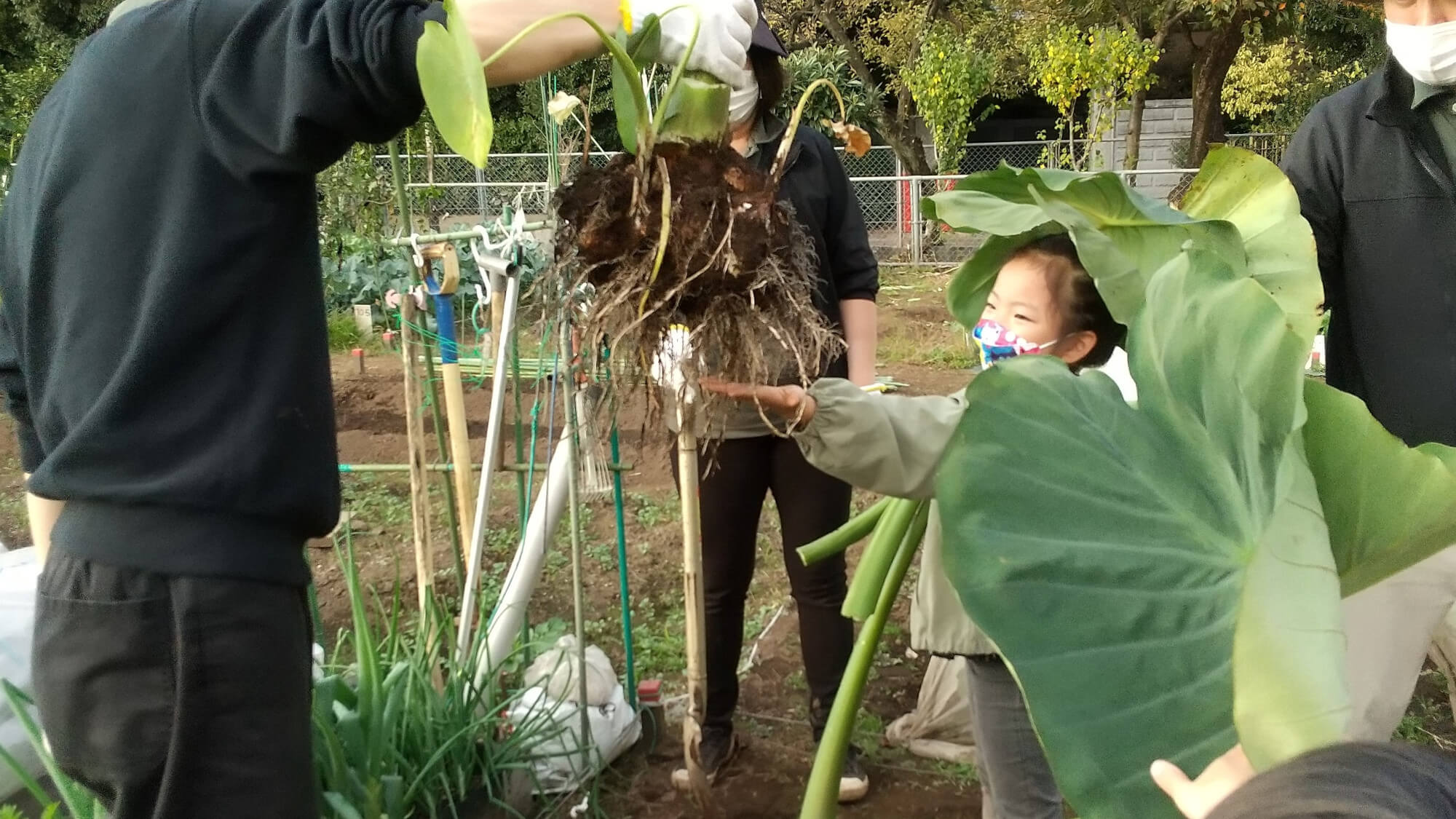 収穫した野菜を見て喜ぶ子ども