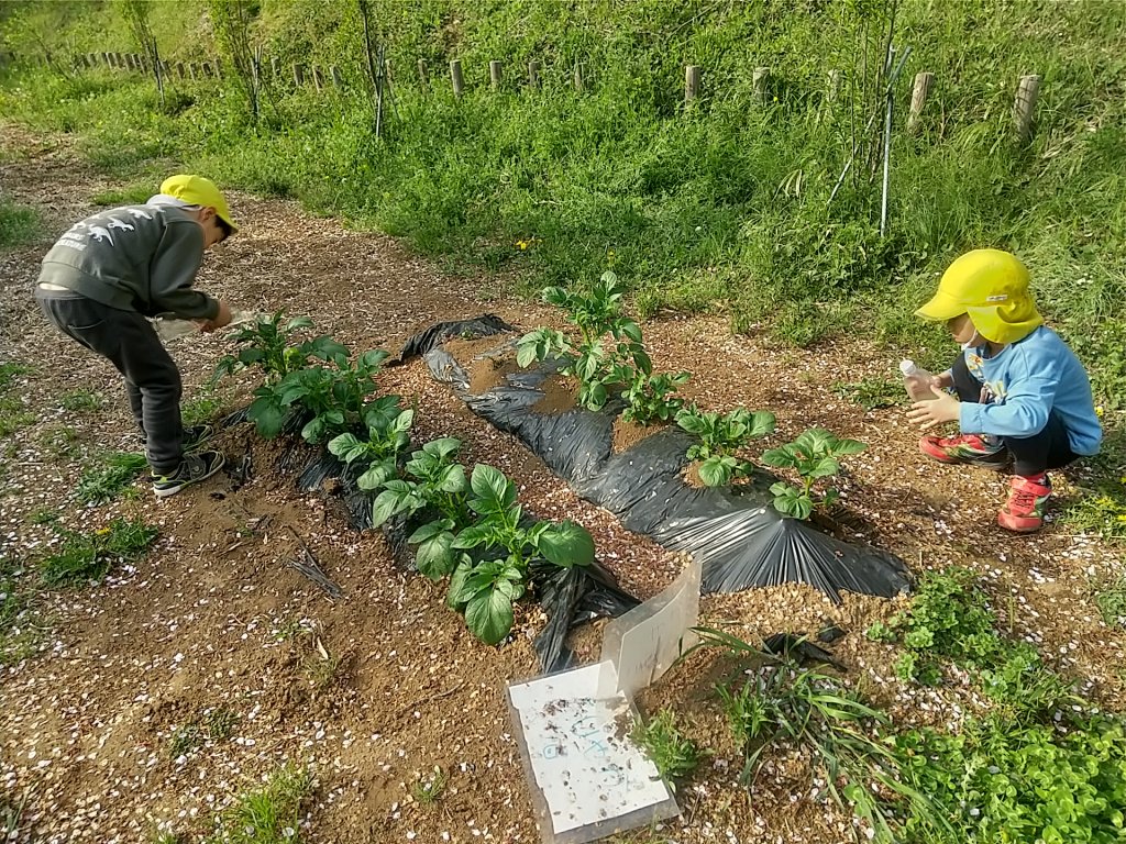 畑仕事をする子どもたち