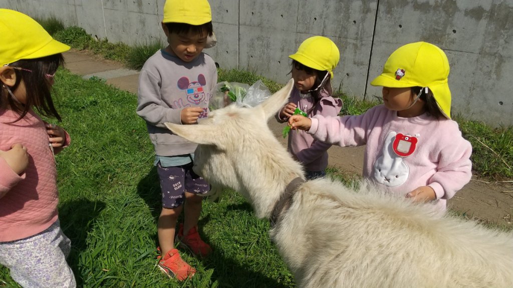 ヤギに餌をあげる子どもたち