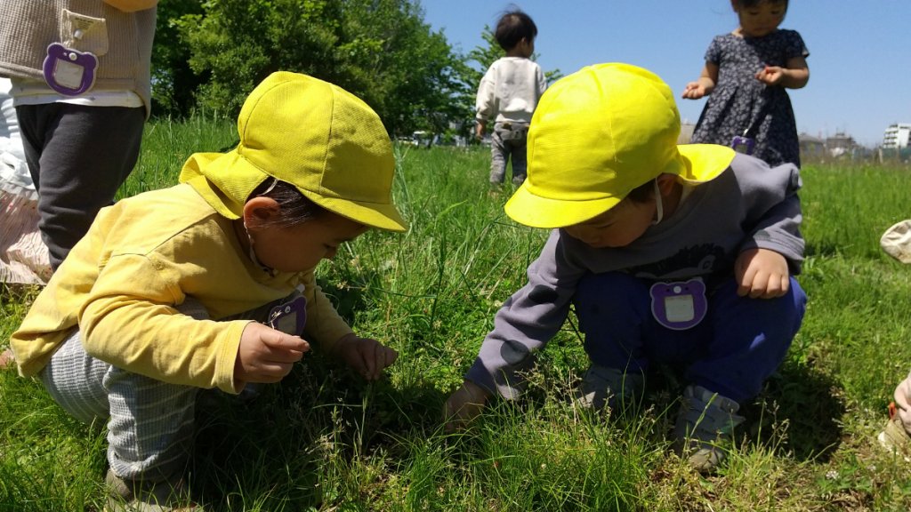 草花採集をする子どもたち