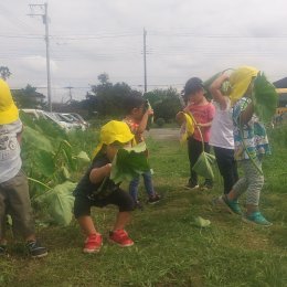 越谷どろんこ保育園「生き物、自然物とのふれあい」