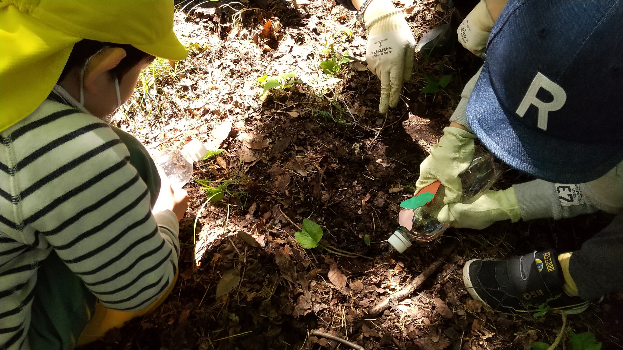 手作りのジョウロで植えた苗に水をあげる子どもたち