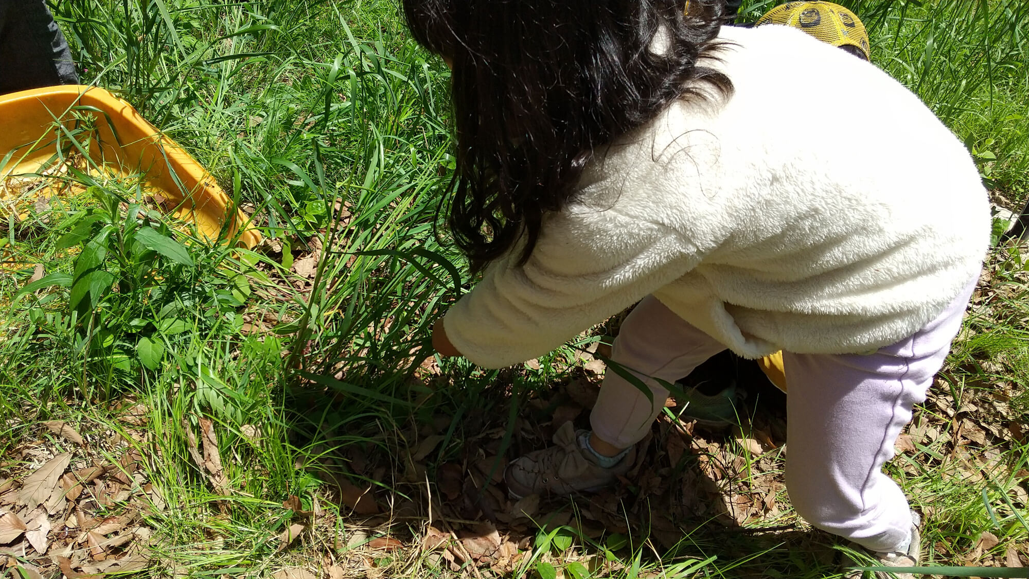 雑草抜きをする子ども