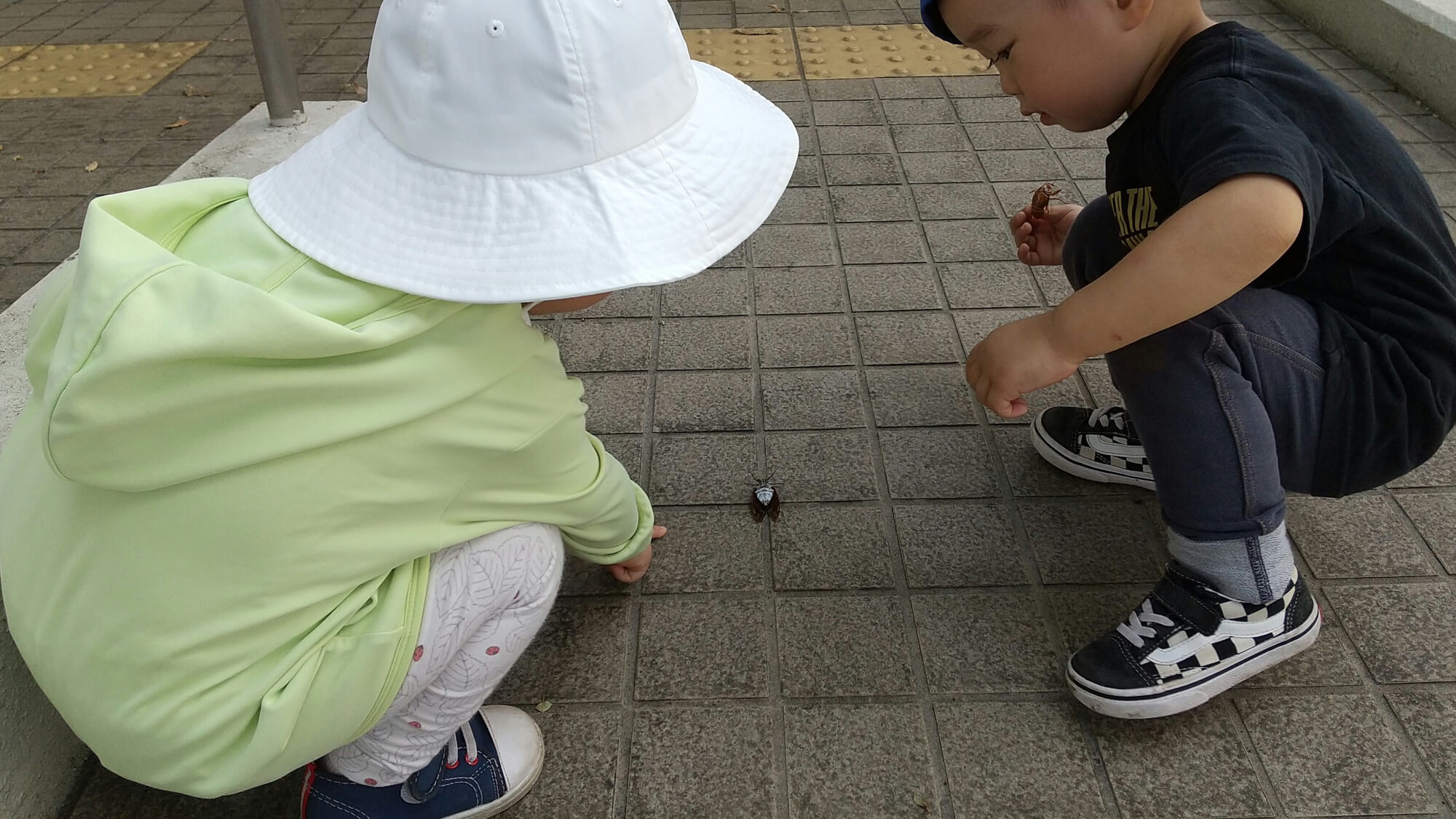 セミを発見する子どもたち