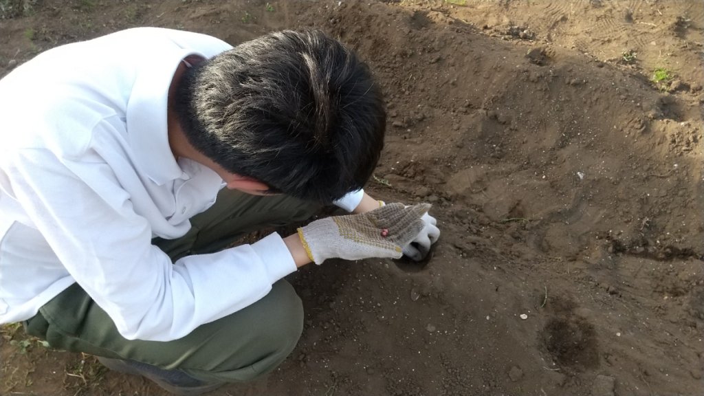 種を植える高校生